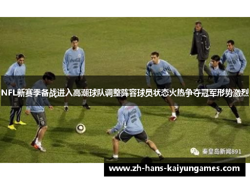 NFL新赛季备战进入高潮球队调整阵容球员状态火热争夺冠军形势激烈