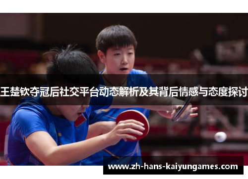 王楚钦夺冠后社交平台动态解析及其背后情感与态度探讨