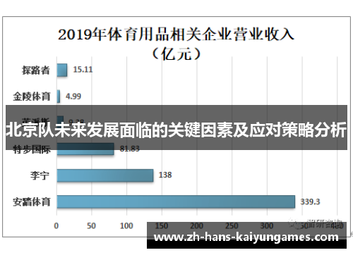 北京队未来发展面临的关键因素及应对策略分析