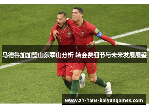 马德鲁加加盟山东泰山分析 转会费细节与未来发展展望